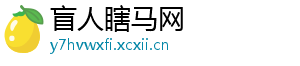盲人瞎马网